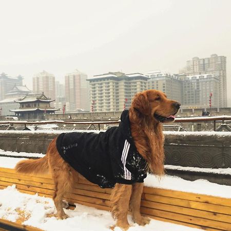Jano'S Backpackers Xi'An Hostel Tây An Ngoại thất bức ảnh